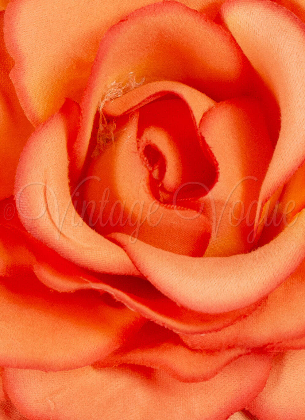 Forever Fifties Vintage Retro Rosen Haarblume Haarclip Sweet Rose in Orange