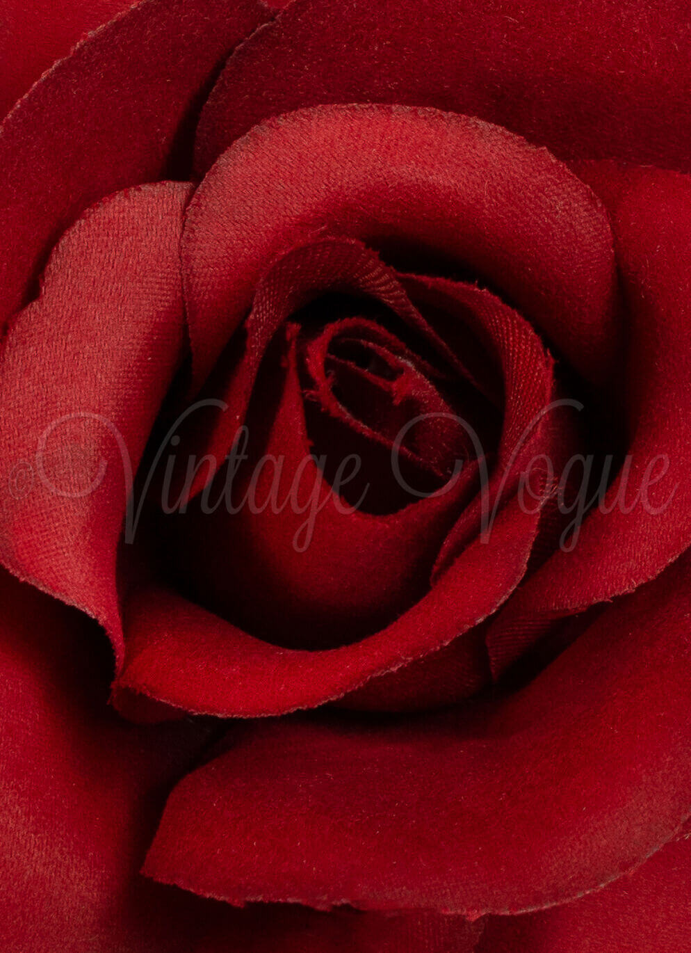 Forever Fifties Vintage Retro Rosen Haarblume Haarclip Sweet Rose in Rot